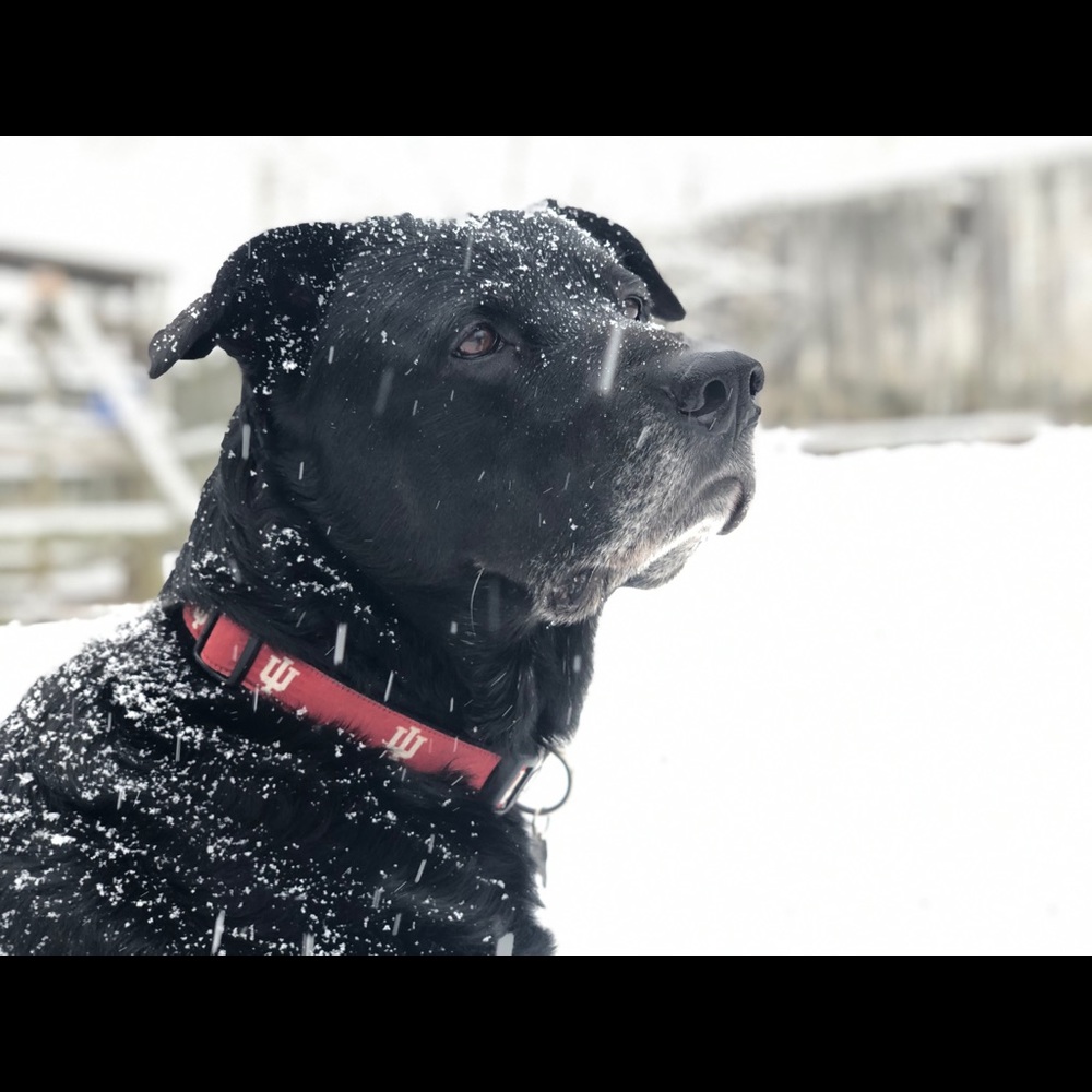 Meet your Posher, Sara